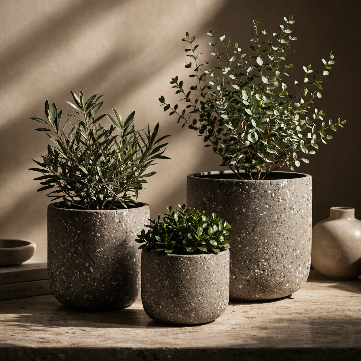 Plants Pots