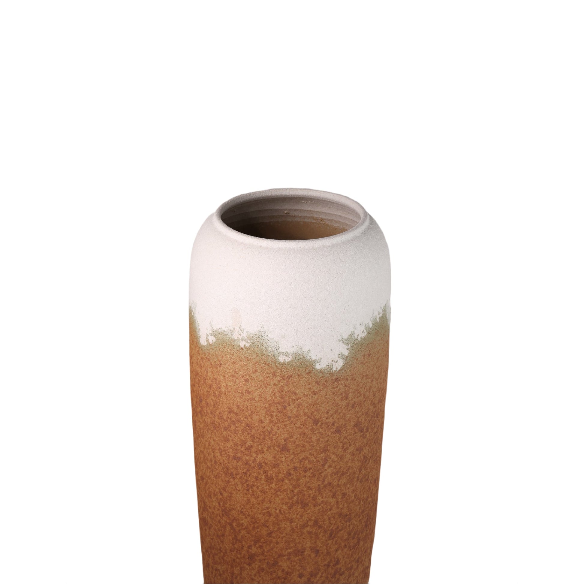 Tavera Plants Pot Modern Home