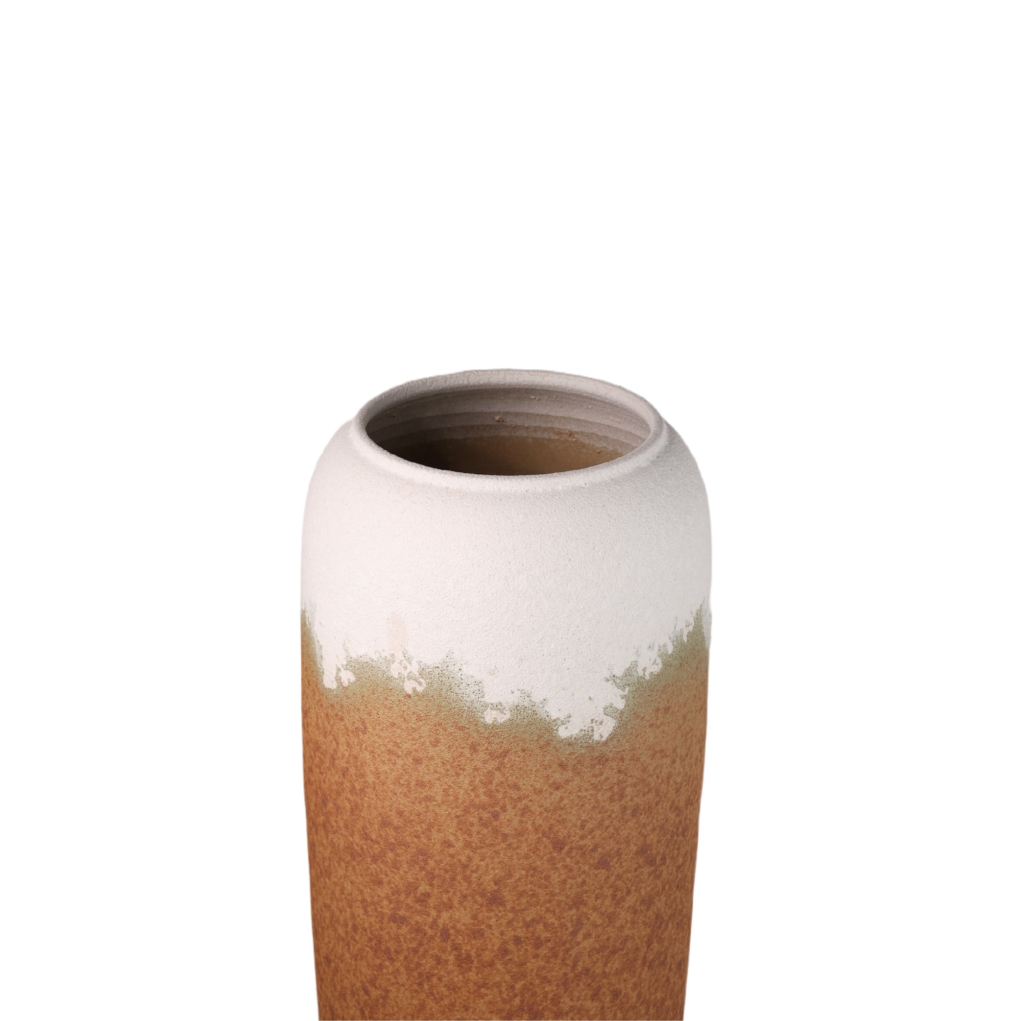 Tavera Plants Pot Modern Home