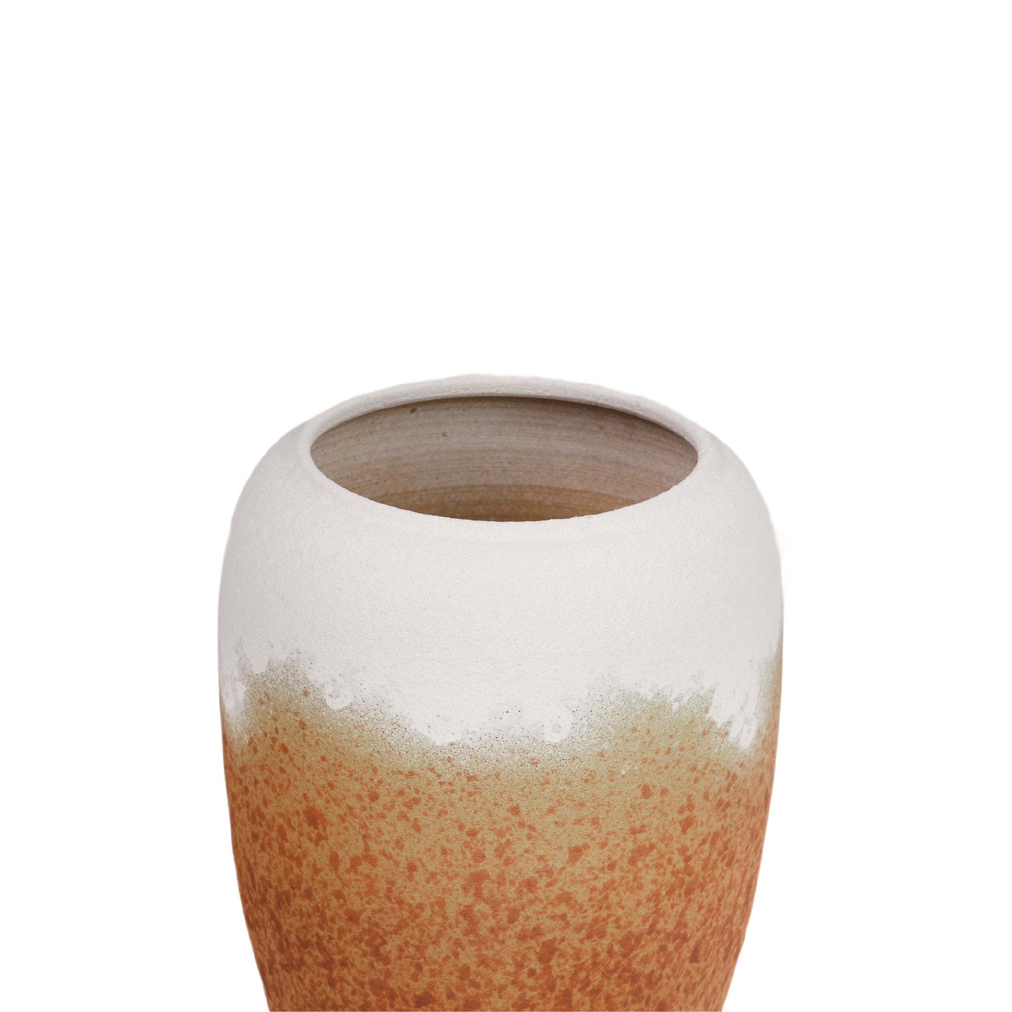 Tavera Plants Pot Modern Home
