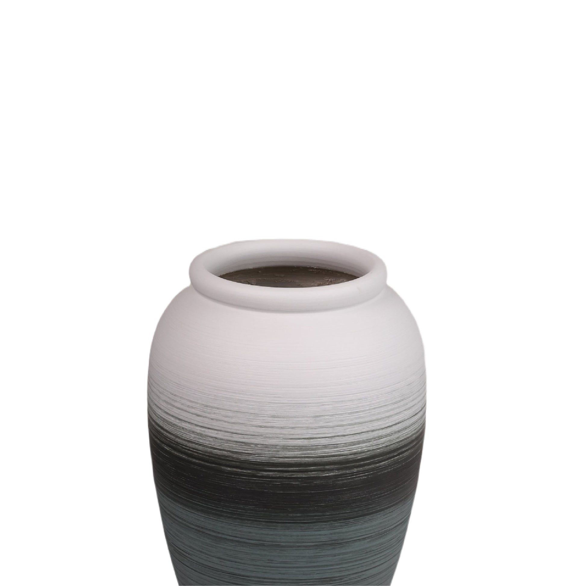 Zamera Plants Pot Modern Home