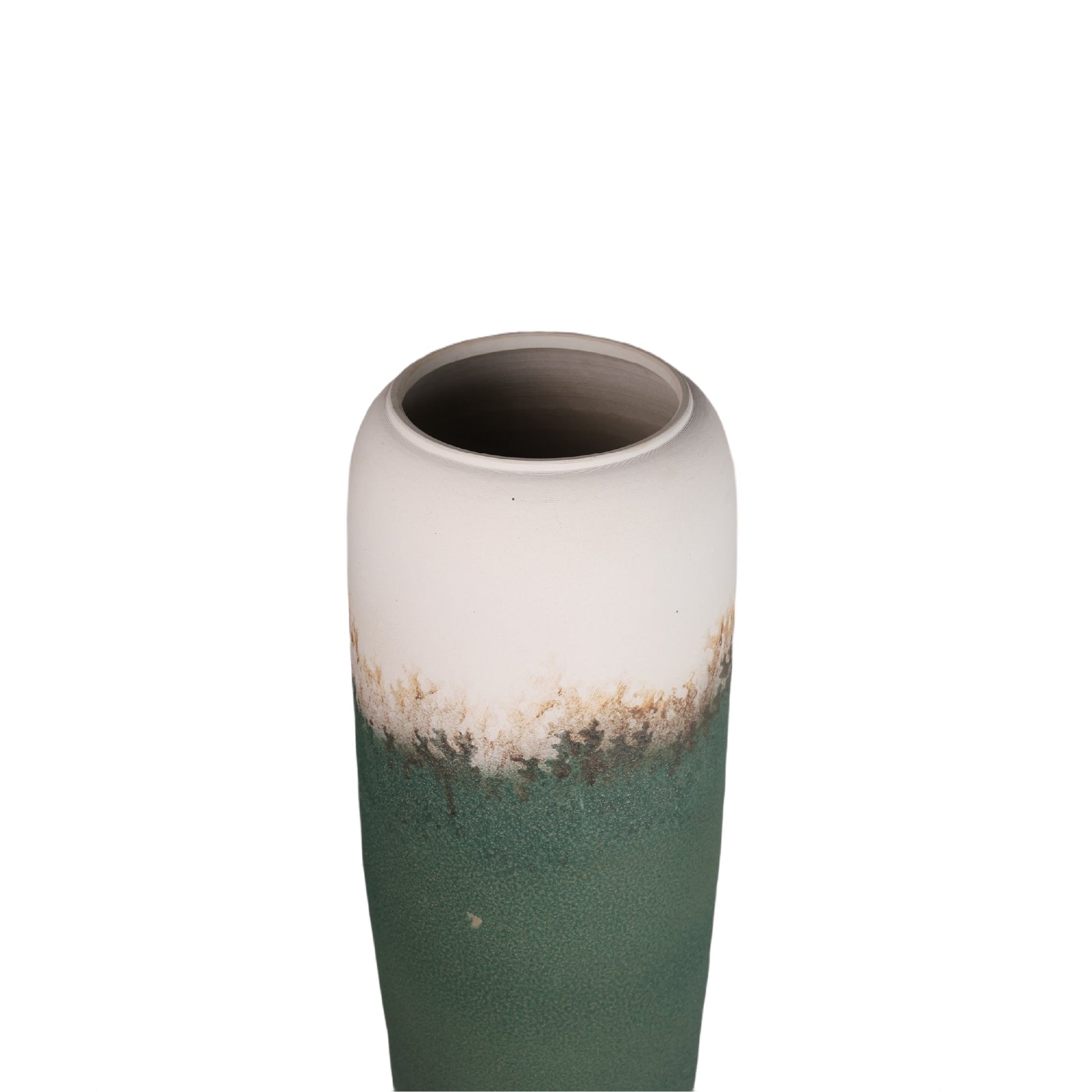 Hiraku Plants Pot Modern Home