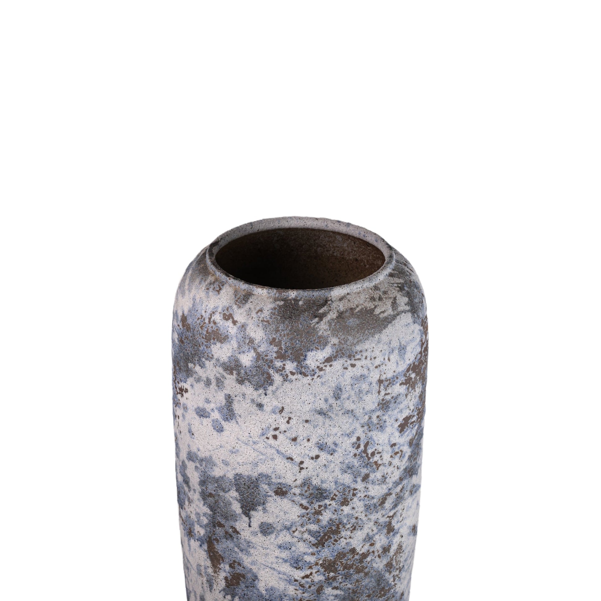 Blue Moon Plants Pot Modern Home