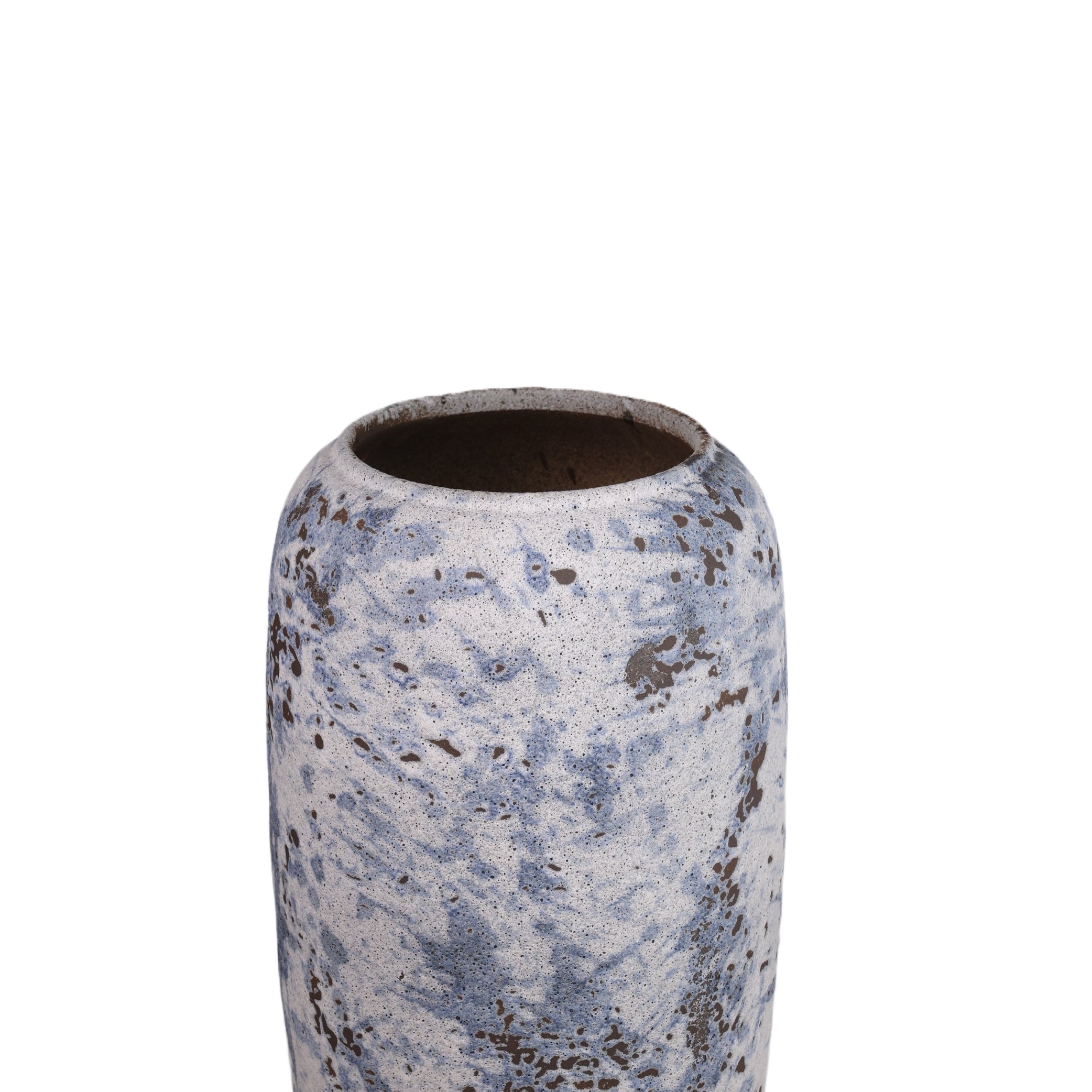 Blue Moon Plants Pot Modern Home