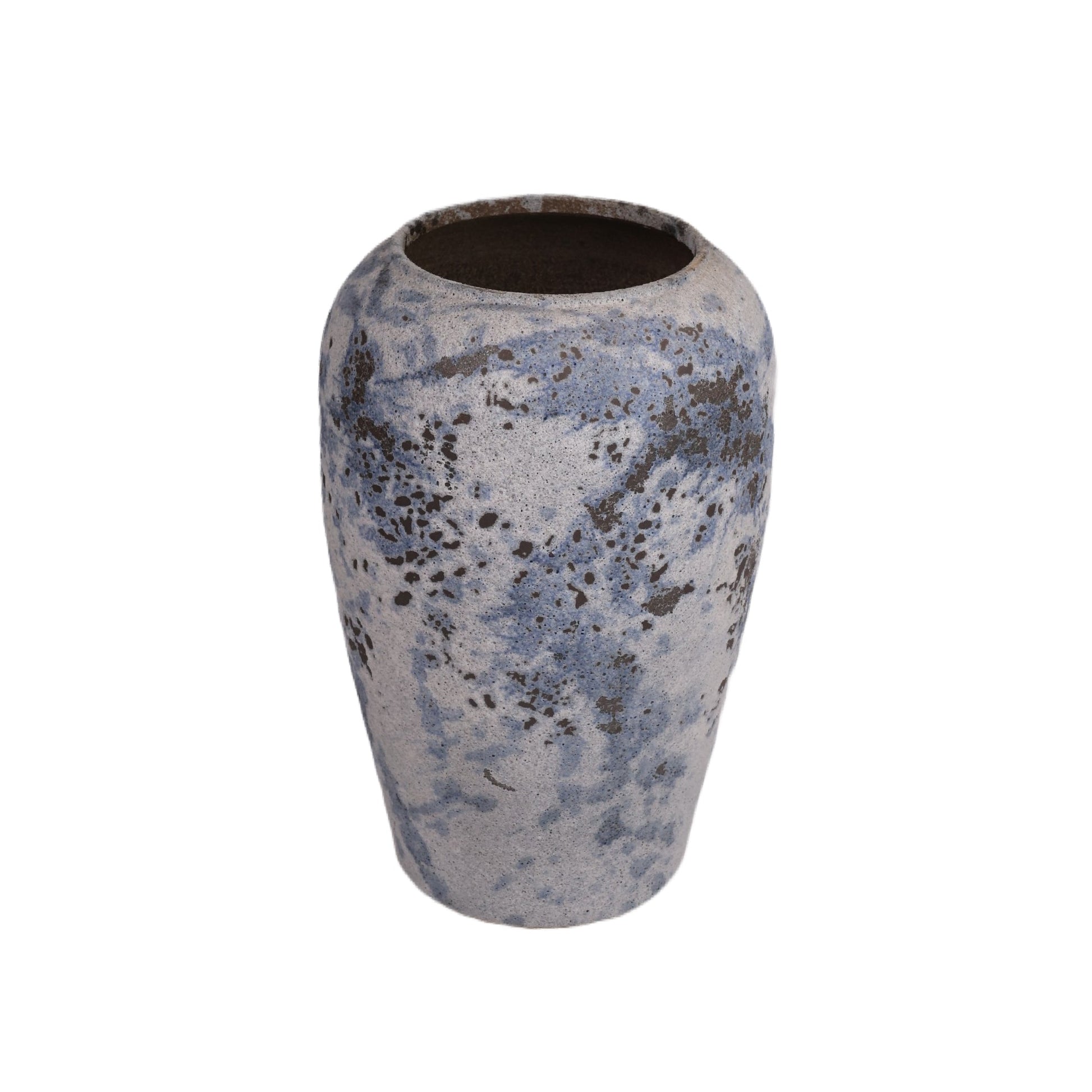 Blue Moon Plants Pot Modern Home