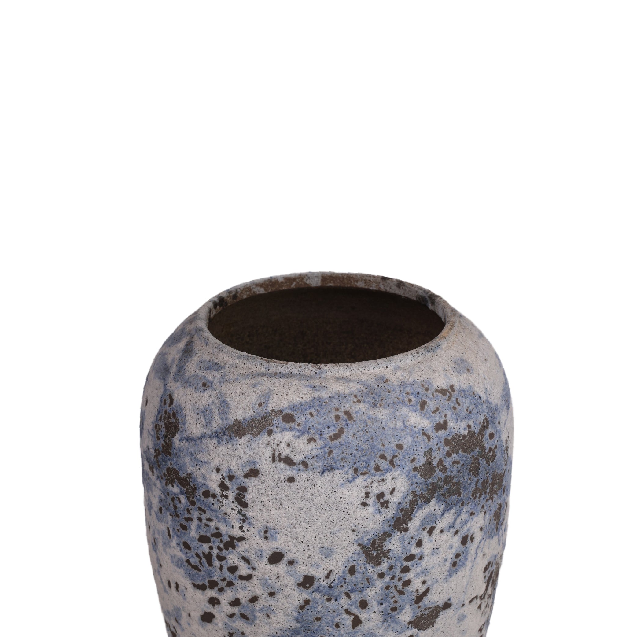 Blue Moon Plants Pot Modern Home