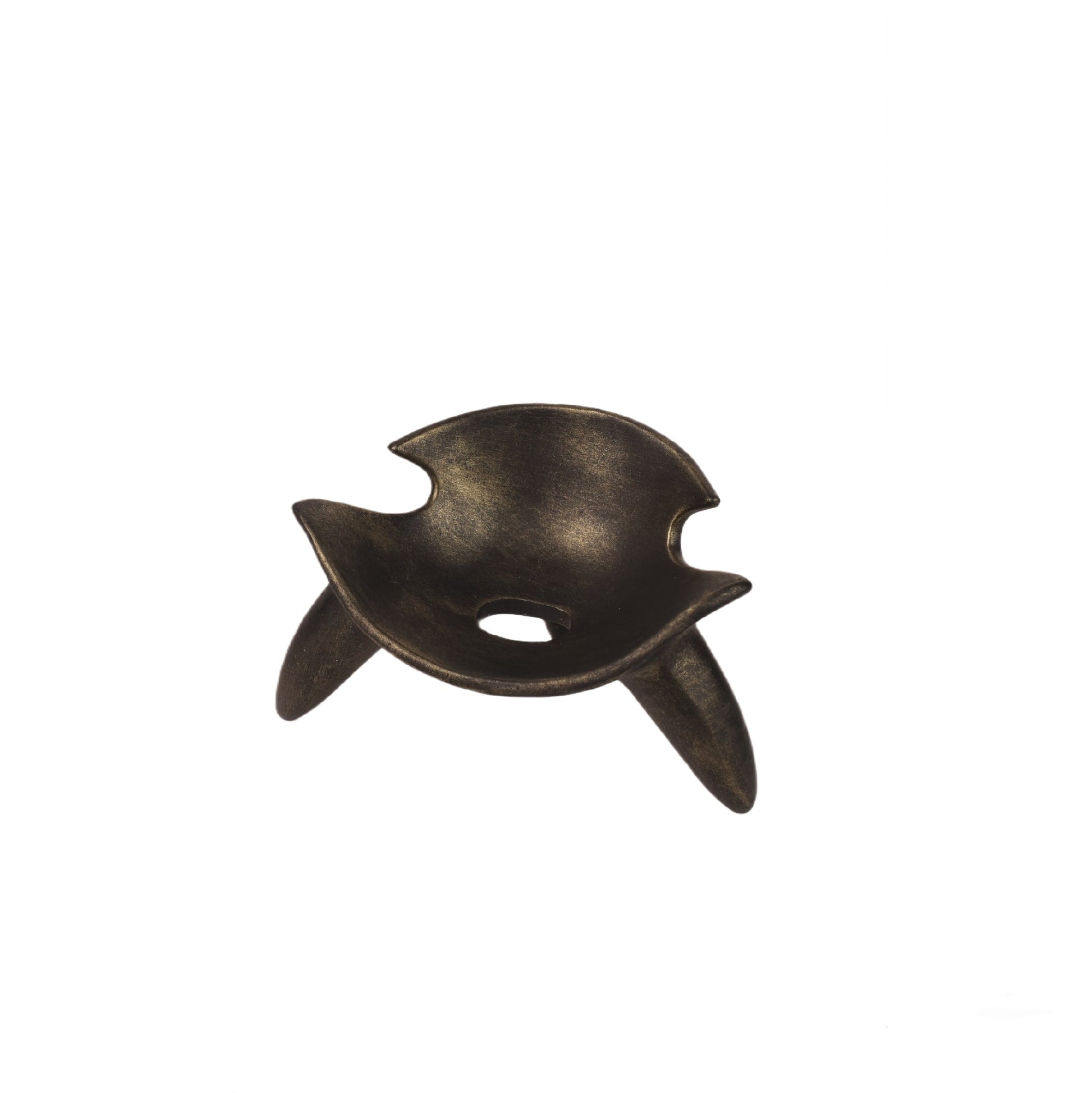 Shell Decor Modern Home