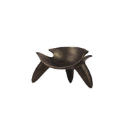 Shell Decor Modern Home