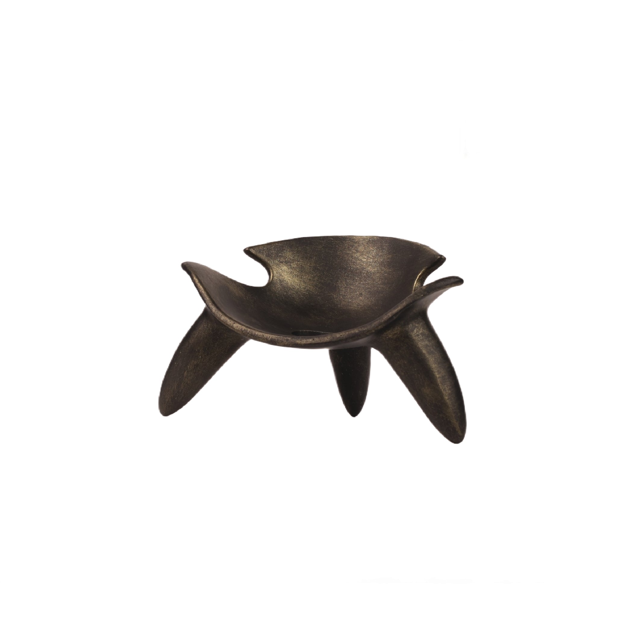 Shell Decor Modern Home