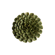 Feva Wall Flower - Large Modern Home