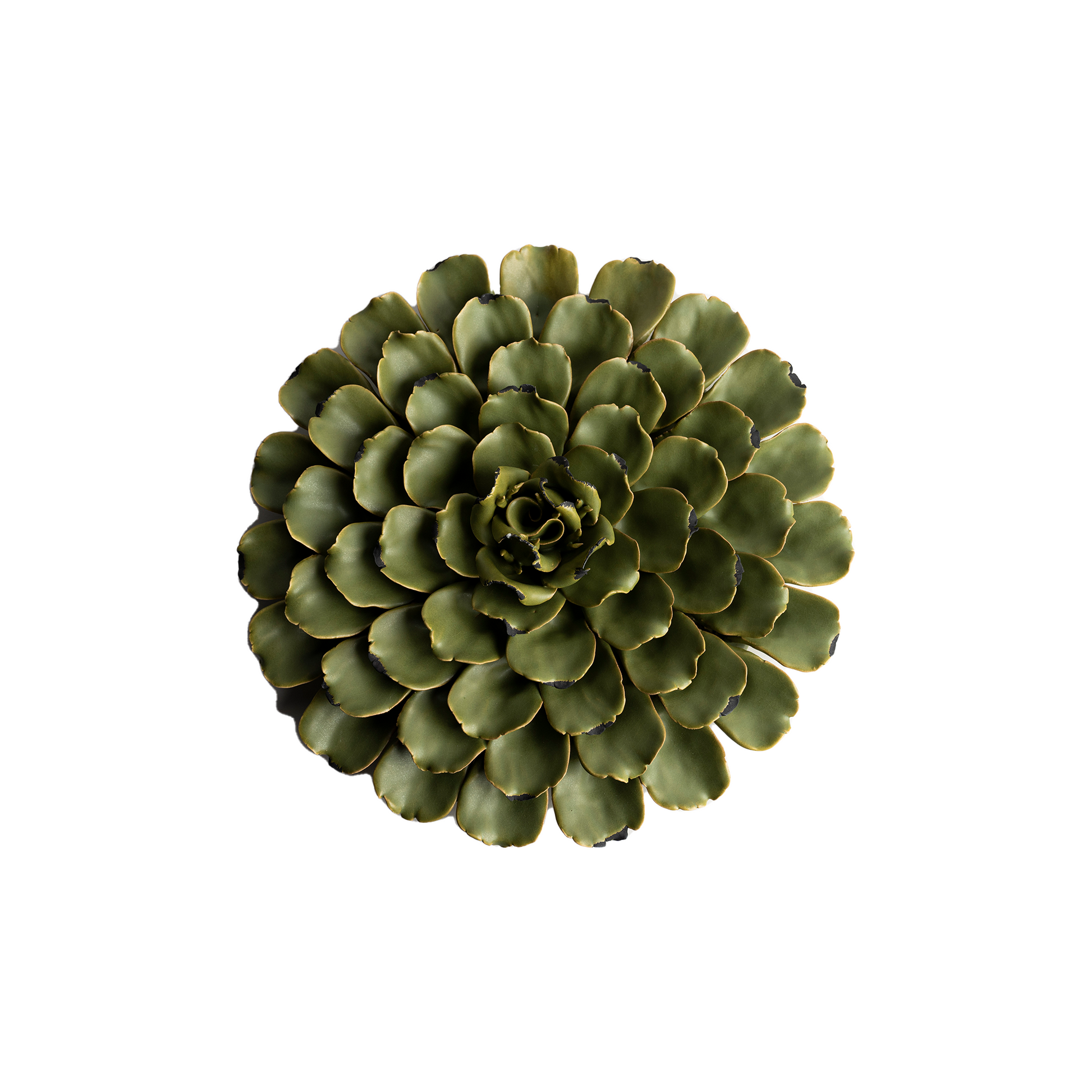 Feva Wall Flower - Large Modern Home