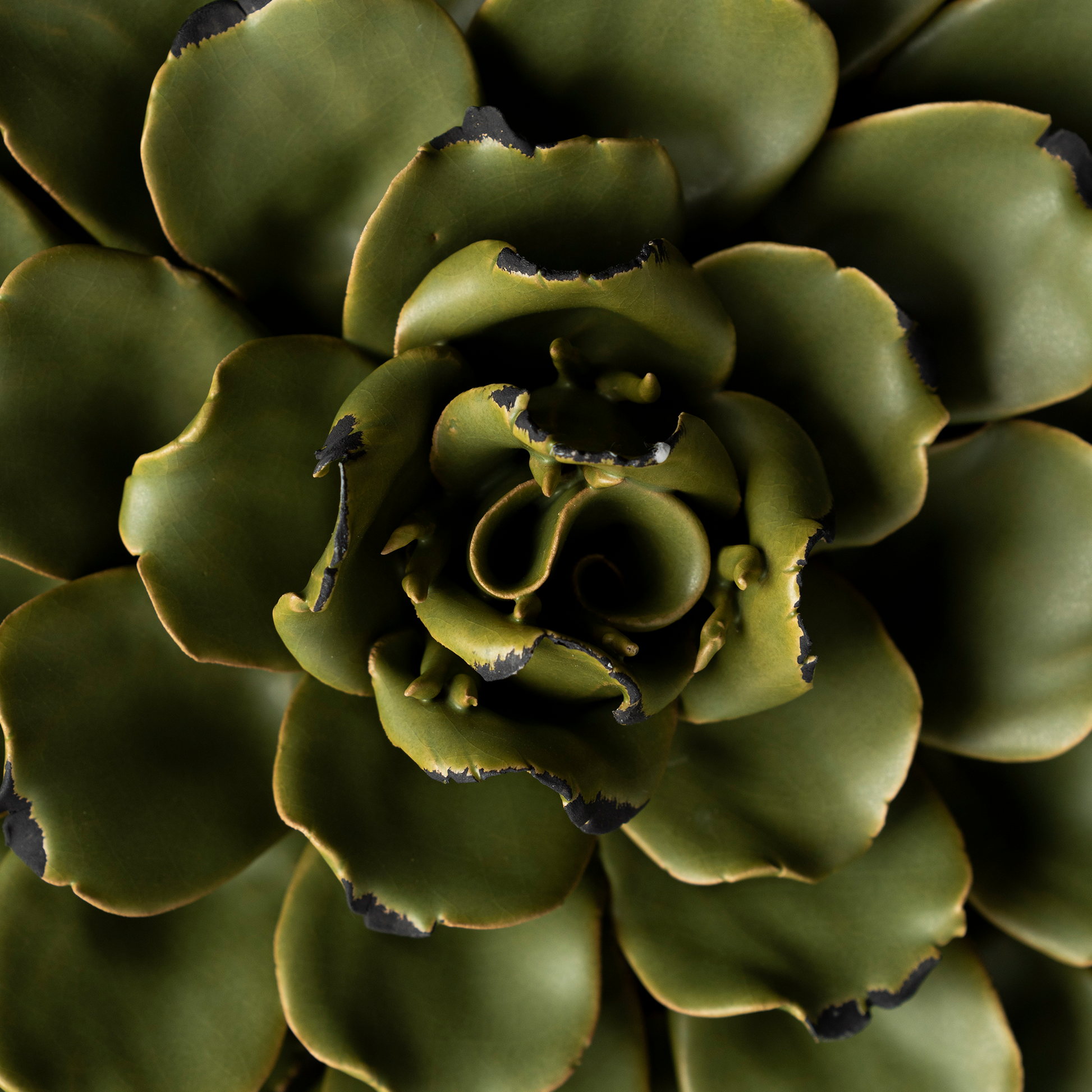 Feva Wall Flower - Large Modern Home