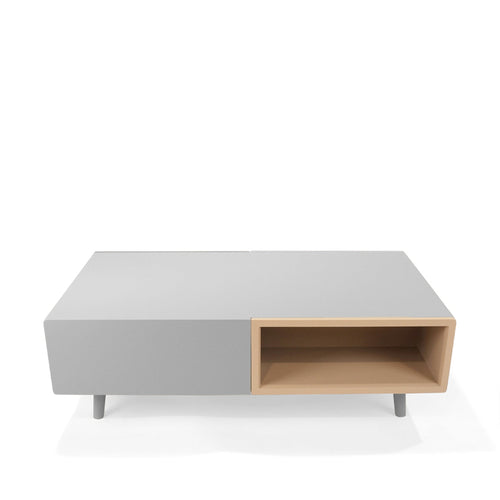 Elara Coffee Table Modern Home