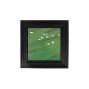 Poolia painting Modern Home