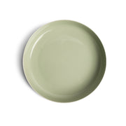 Brushetaa Green Plate Modern Home