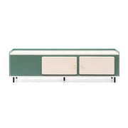 FERN TV UNIT Modern Home