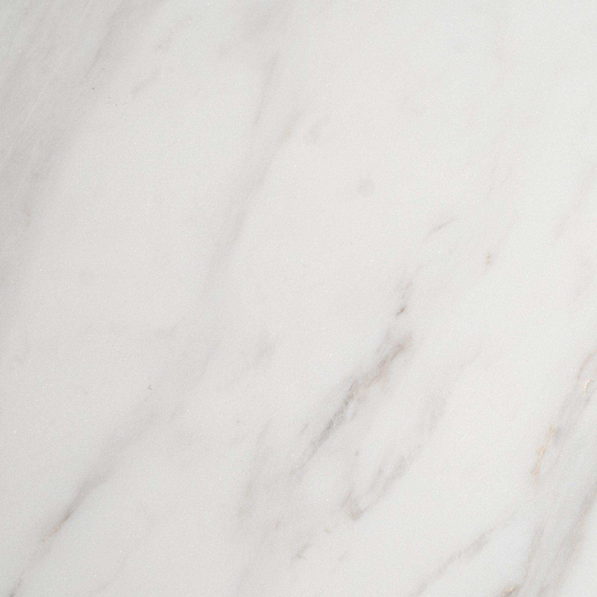 White-Grayesh Marble Tray Modern Home